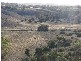 lot 92 Long Gully Rd, Mannum SA 5238