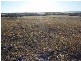 lot 92 Long Gully Rd, Mannum SA 5238