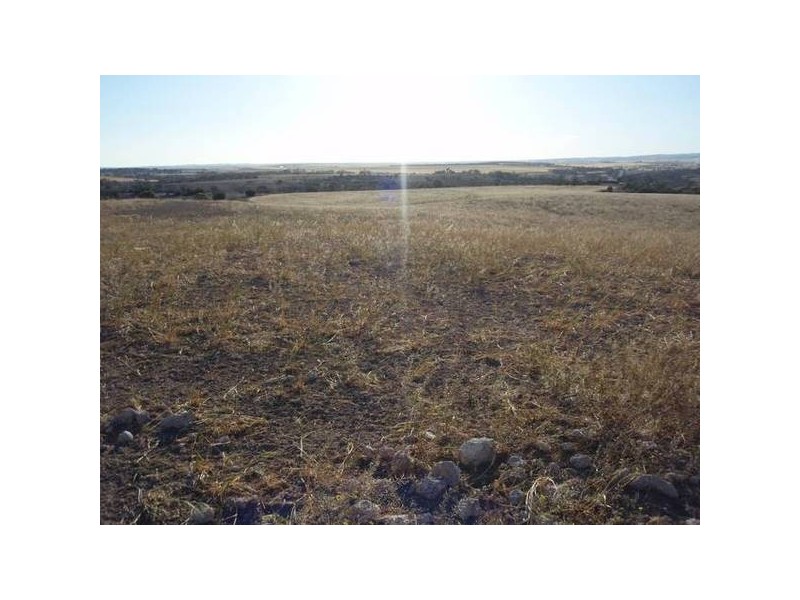 lot 92 Long Gully Rd, Mannum SA 5238