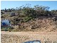 lot 92 Long Gully Rd, Mannum SA 5238