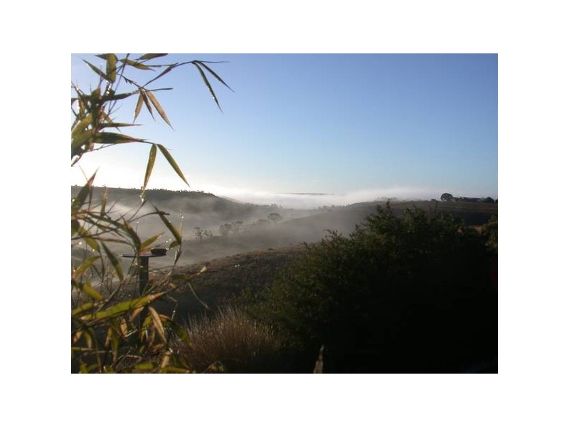 Lot 54 Dollard Avenue, Mannum SA 5238