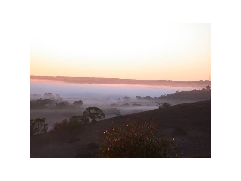 Lot 54 Dollard Avenue, Mannum SA 5238