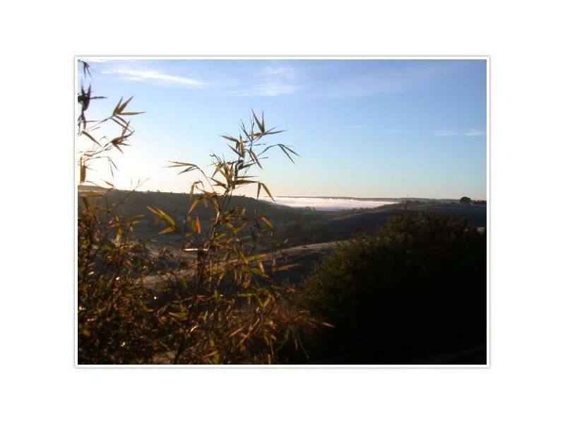 Lot 54 Dollard Avenue, Mannum SA 5238