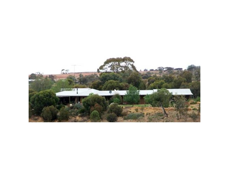 54 Dollard Avenue, Mannum SA 5238