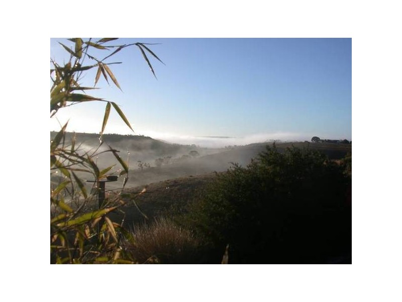 54 Dollard Avenue, Mannum SA 5238