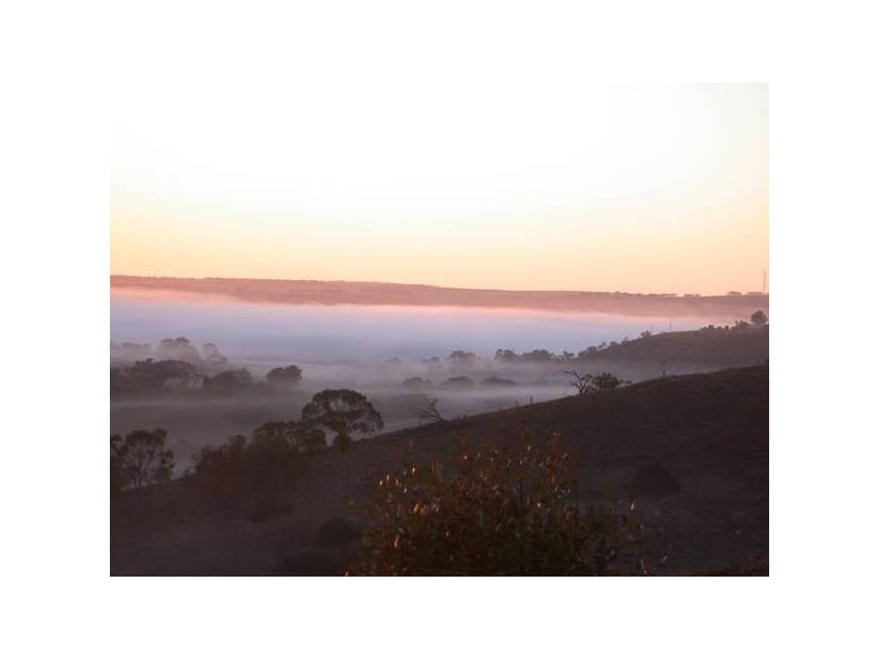 54 Dollard Avenue, Mannum SA 5238