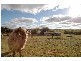 Lot 1 Murray Bridge Road, Mannum SA 5238