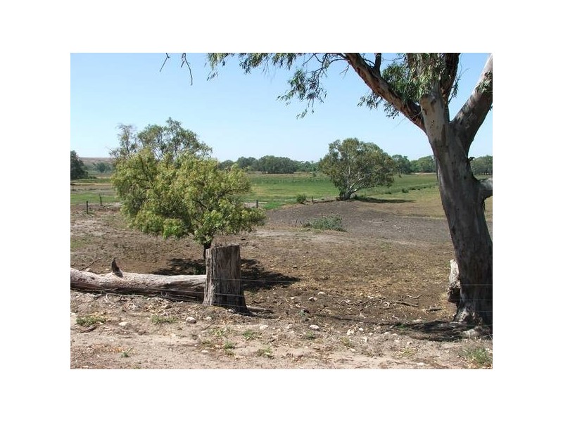 Sect 367 Weidenhoffer Rd, Ponde SA 5238