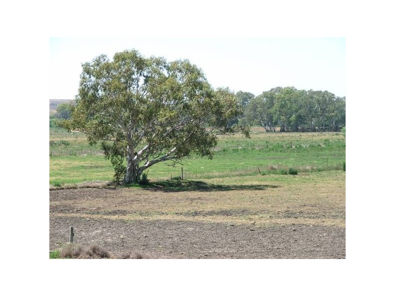 Sect 367 Weidenhoffer Rd, Ponde SA 5238