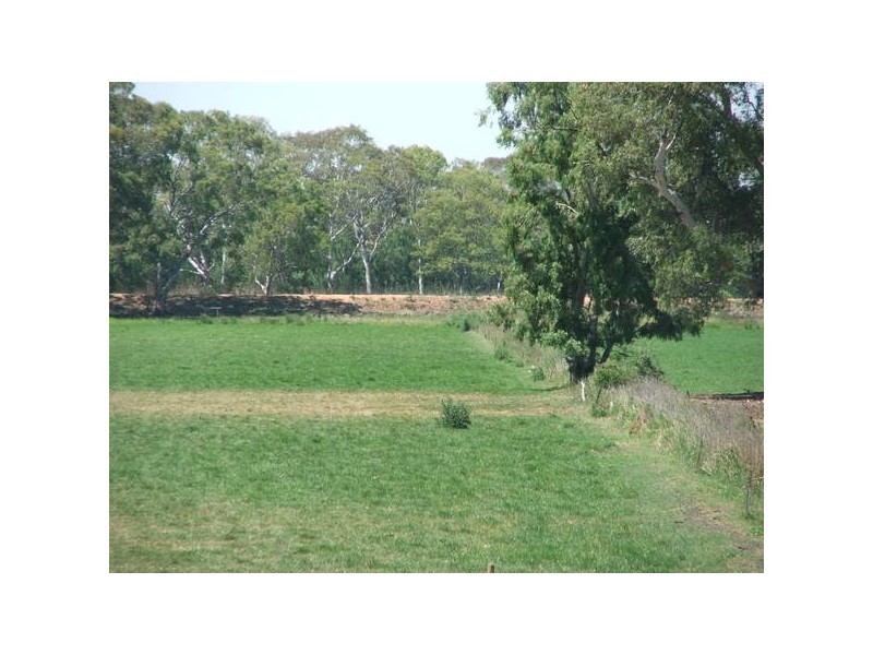 Sect 367 Weidenhoffer Rd, Ponde SA 5238