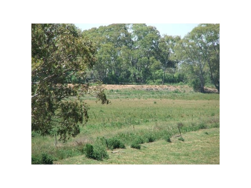 Sect 367 Weidenhoffer Rd, Ponde SA 5238