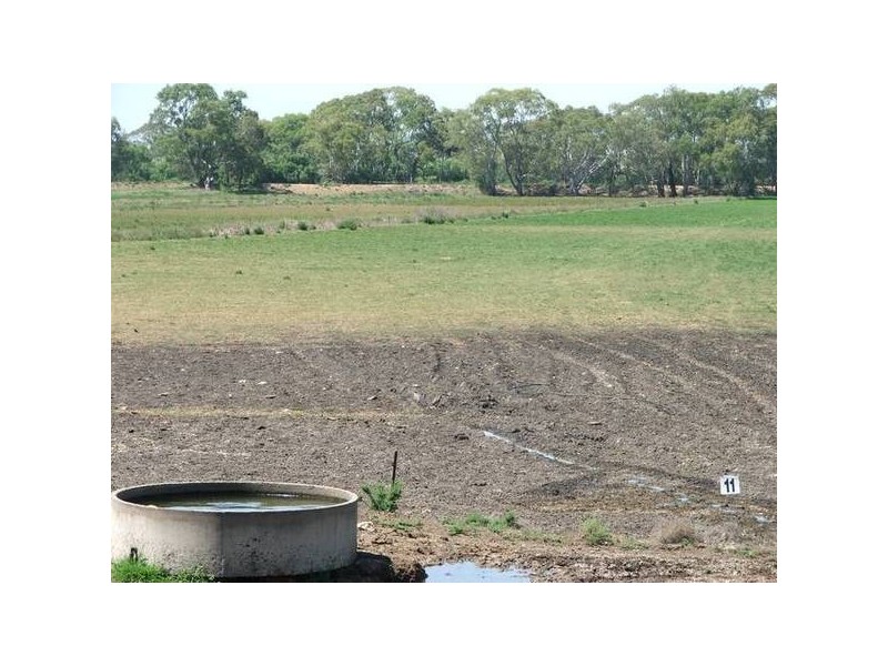 Sect 367 Weidenhoffer Rd, Ponde SA 5238