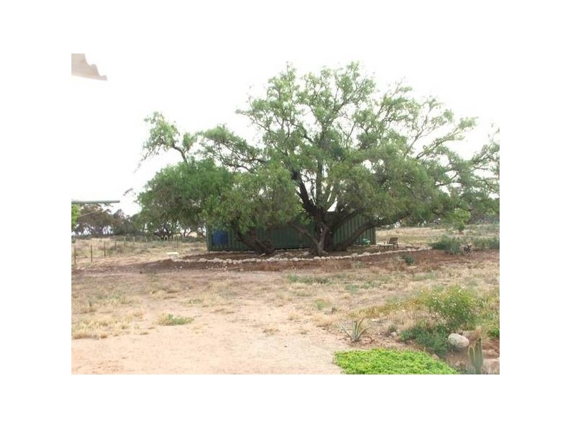 lot 7 Sedan Road, Punthari SA 5238