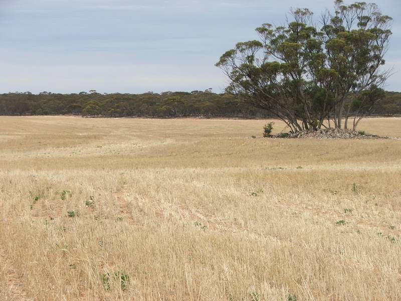 lot 101 Cockshell Road, Bowhill SA 5238