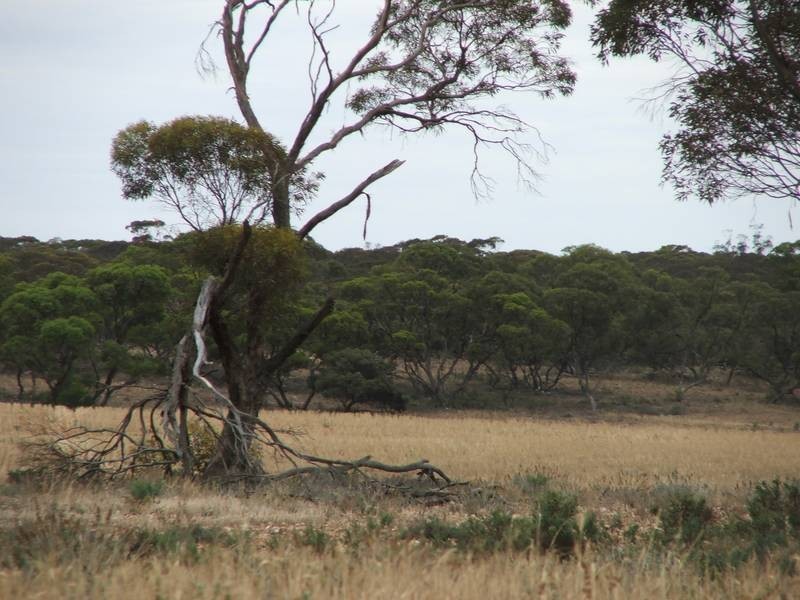 lot 101 Cockshell Road, Bowhill SA 5238