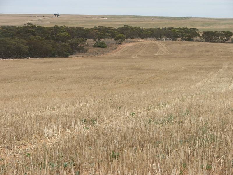 lot 101 Cockshell Road, Bowhill SA 5238