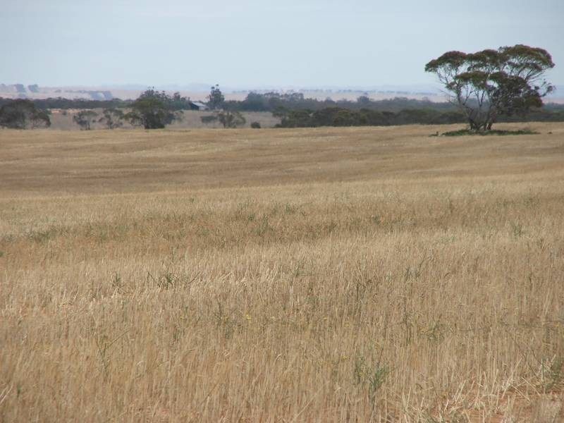 lot 101 Cockshell Road, Bowhill SA 5238