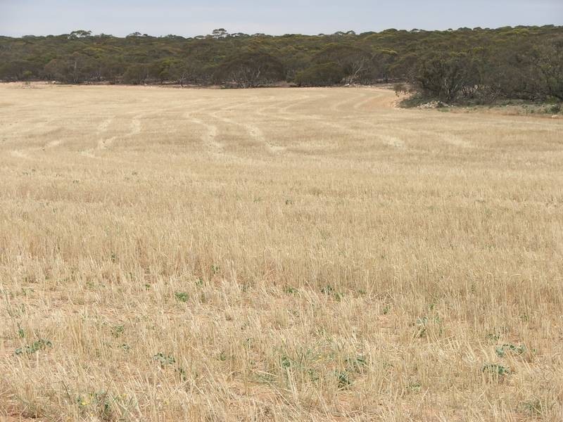 lot 101 Cockshell Road, Bowhill SA 5238