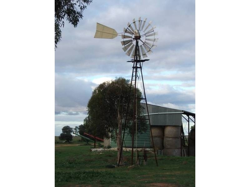 old Nildottie Road, Swan Reach SA 5354