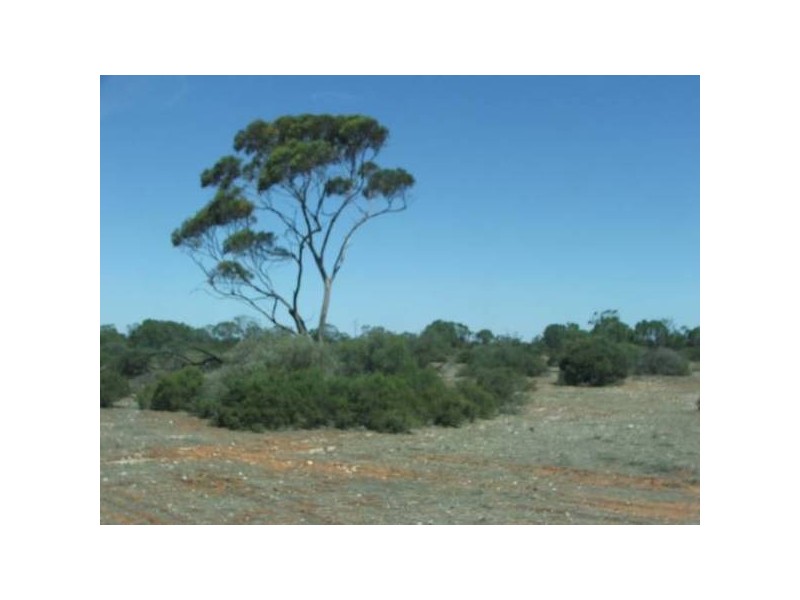 Lot 3 Murray Lands Rd, Punyelroo SA 5354