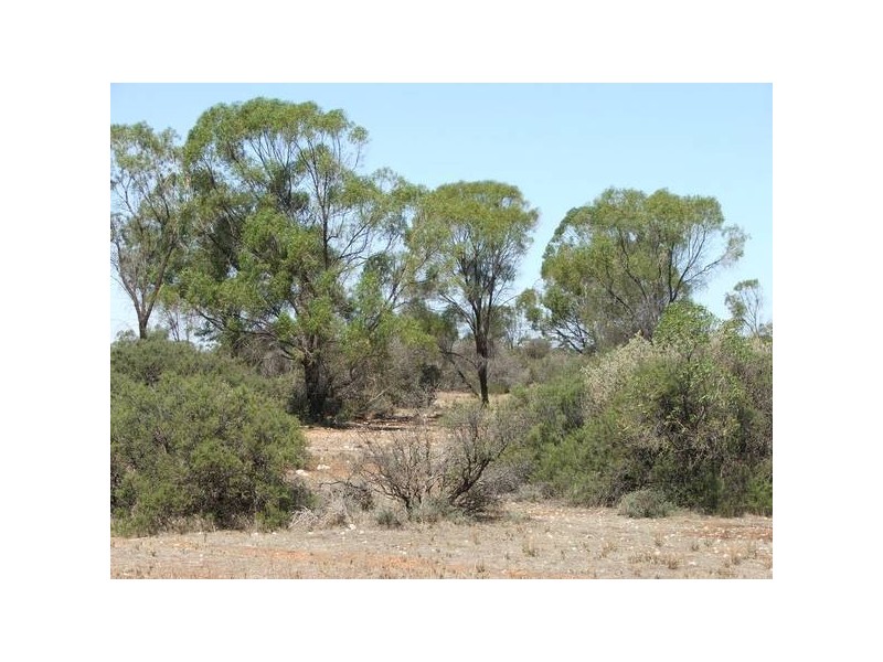 Lot 3 Murray Lands Rd, Punyelroo SA 5354
