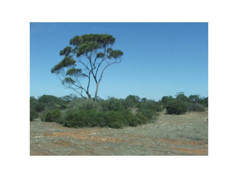 Lot 3 Murray Lands Rd, Punyelroo SA 5354