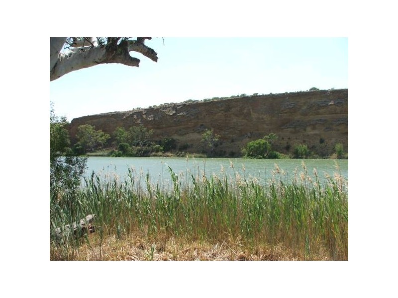 lot 47 Rob Loxton Road, Walker Flat SA 5238