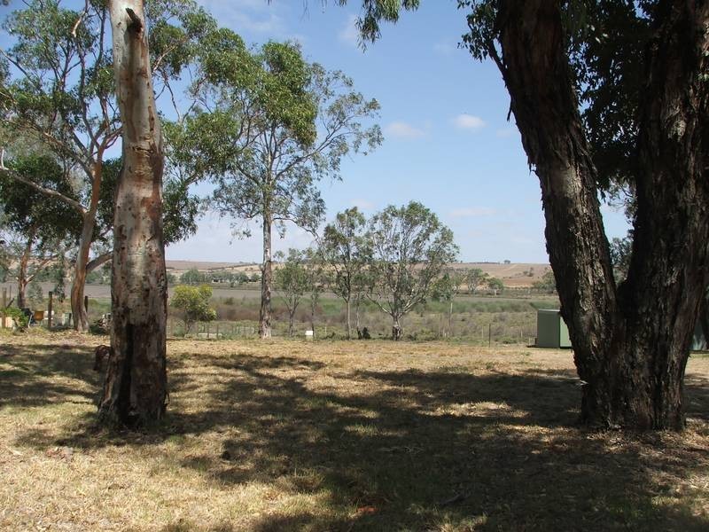 Lot 46 Rob Loxton Road, Walker Flat SA 5238