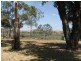 Lot 46 Rob Loxton Road, Walker Flat SA 5238
