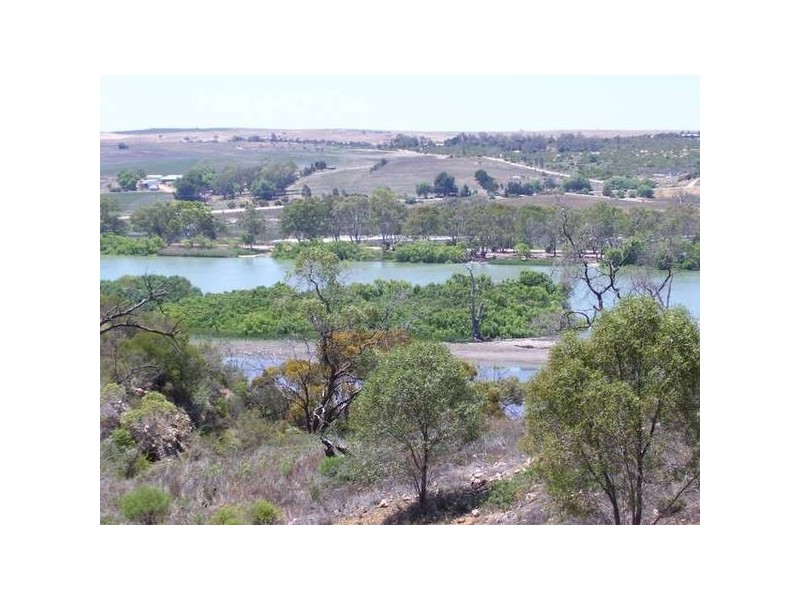 61 Crawford Crescent, Mannum SA 5238