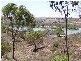 61 Crawford Crescent, Mannum SA 5238