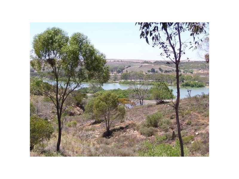 61 Crawford Crescent, Mannum SA 5238