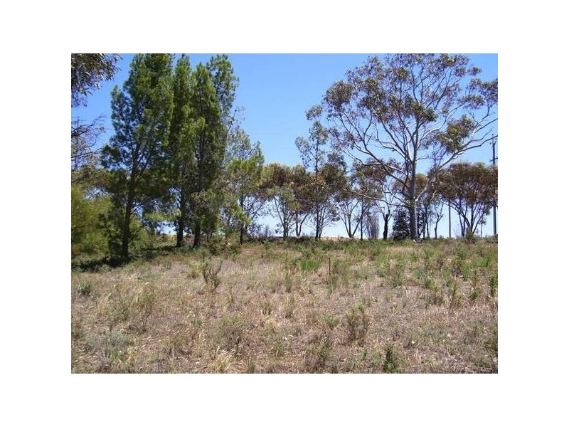 61 Crawford Crescent, Mannum SA 5238