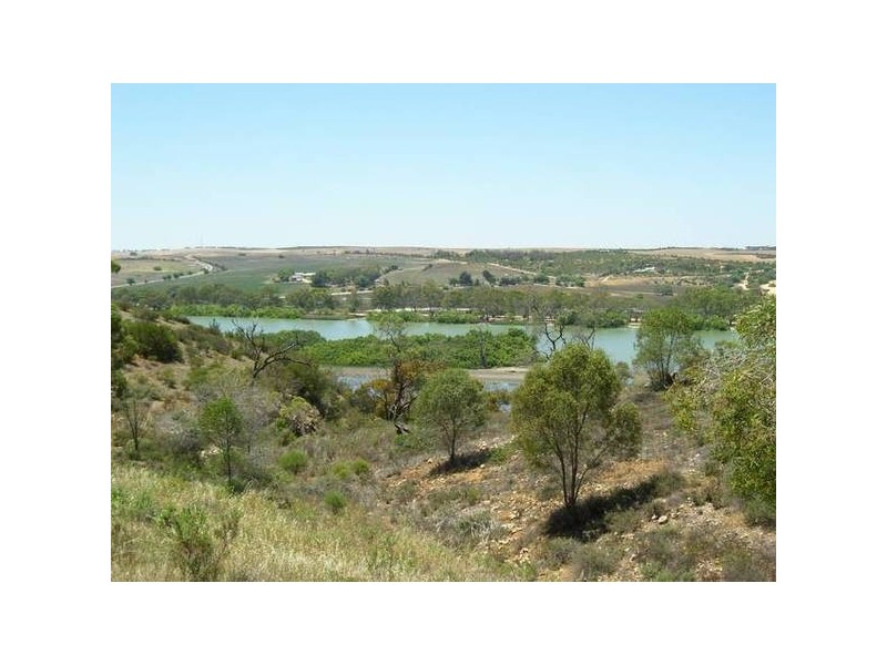 61 Crawford Crescent, Mannum SA 5238
