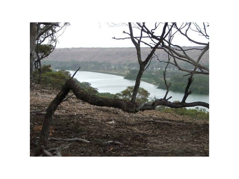 Allot 133 Panorama Avenue, via Younghusband, Mannum SA 5238