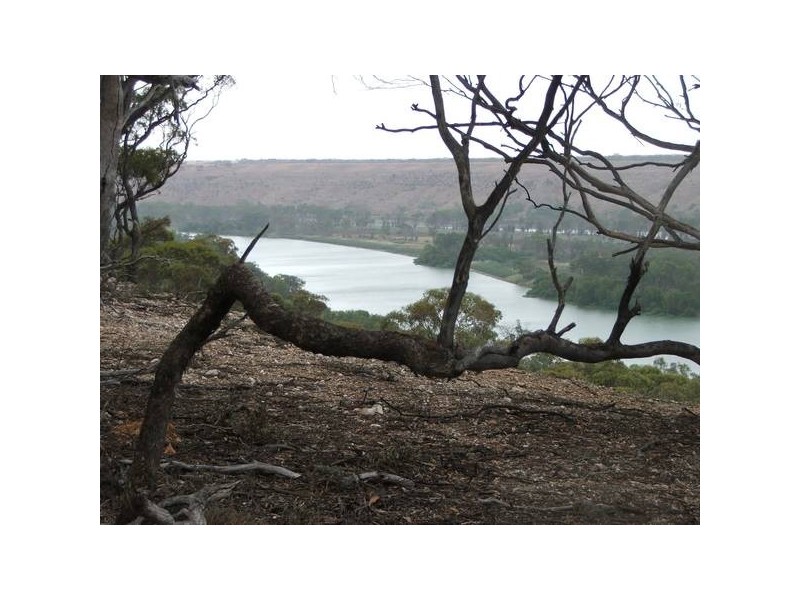 lot 133 Panorama Ave, via Younghusband, Mannum SA 5238