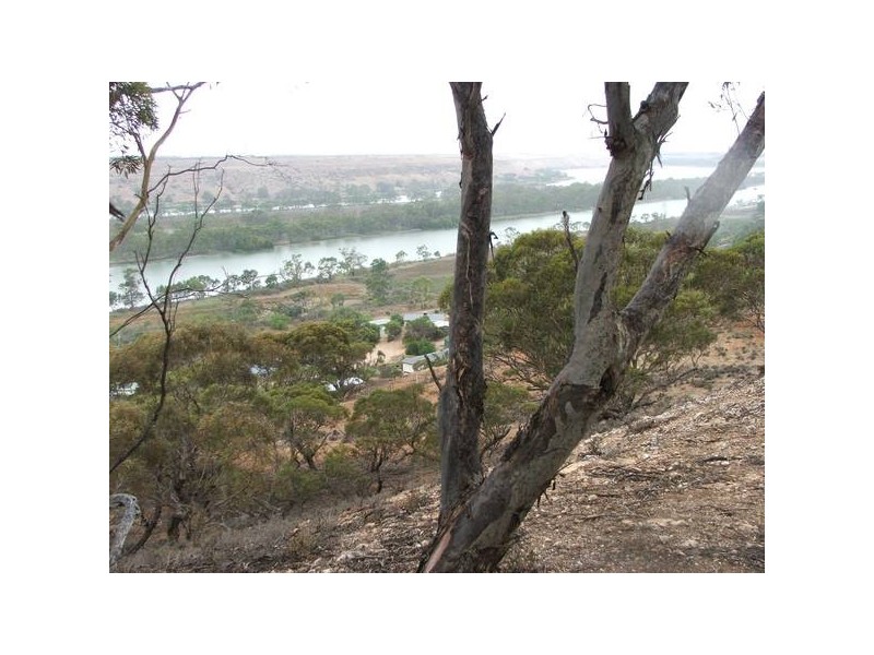 lot 133 Panorama Ave, via Younghusband, Mannum SA 5238