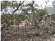 lot 133 Panorama Ave, via Younghusband, Mannum SA 5238