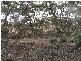 lot 133 Panorama Ave, via Younghusband, Mannum SA 5238