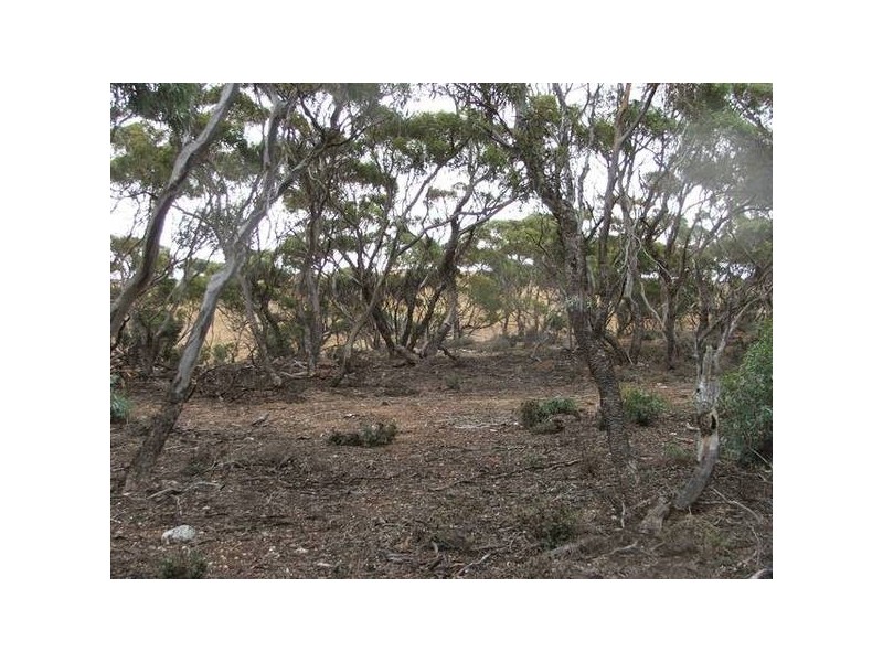 lot 133 Panorama Ave, via Younghusband, Mannum SA 5238