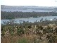 lot 133 Panorama Ave, via Younghusband, Mannum SA 5238