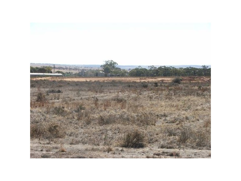 Allot 20 Budarick Rd, Mannum SA 5238