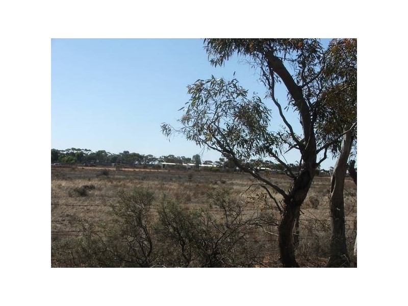 Allot 20 Budarick Rd, Mannum SA 5238