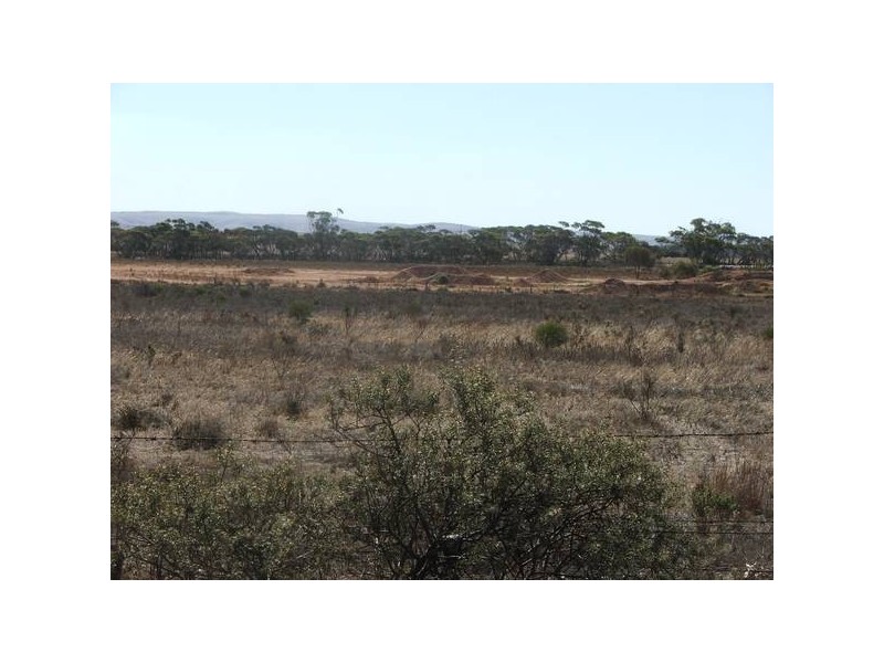 Allot 20 Budarick Rd, Mannum SA 5238