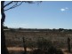 Allot 20 Budarick Rd, Mannum SA 5238