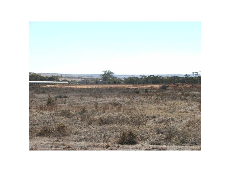 Allot 20 Budarick Rd, Mannum SA 5238