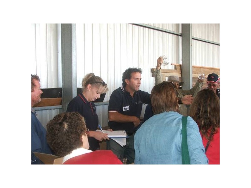 67 Randell Street, Mannum SA 5238