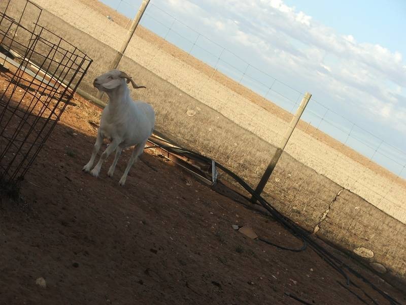 Allot 1 Keith Road, Mannum SA 5238