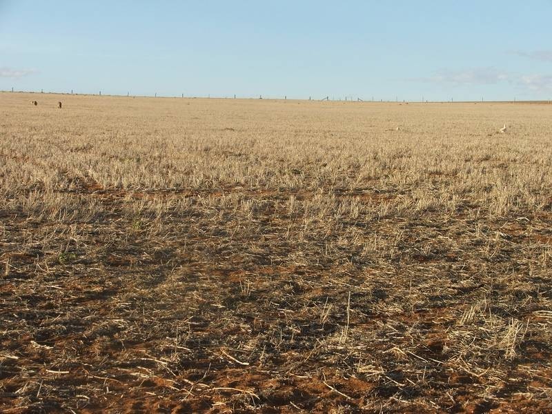 Allot 1 Keith Road, Mannum SA 5238