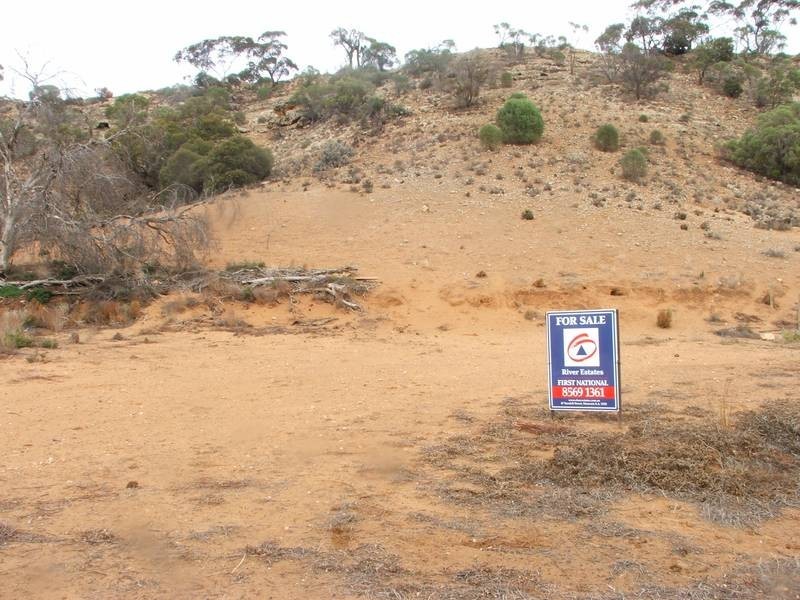 Lot 64 Tom Groggin Drive, Younghusband SA 5238